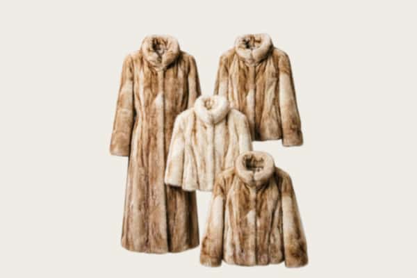 保定市涞源回收皮草衣服